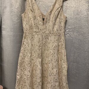 Elegant Beige Sequin Dress